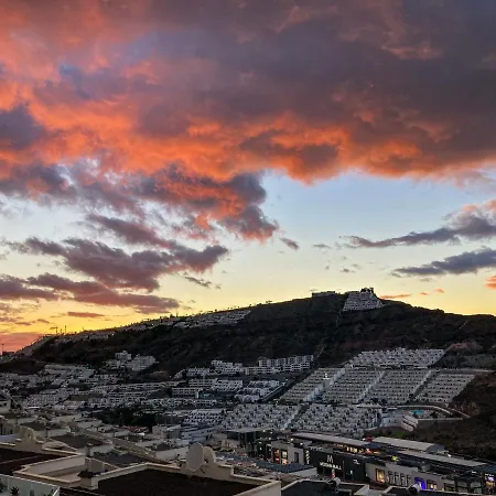 Jazmin Modern House Apartment